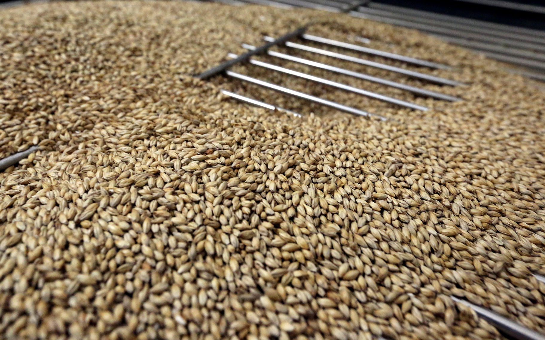 Carolina Malt House